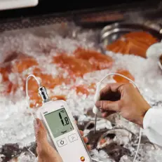 Testo 108-2 